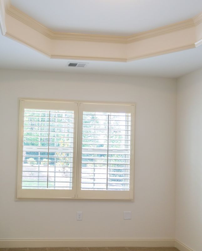 Interior Shutters Painting